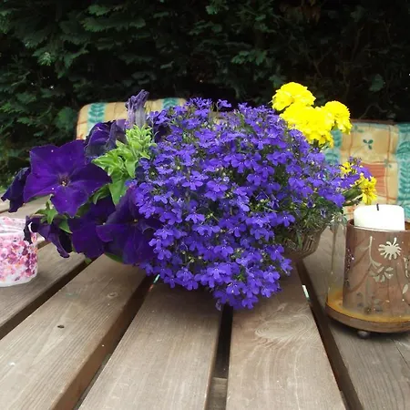 Ferienhaeuser Boerge Holiday home